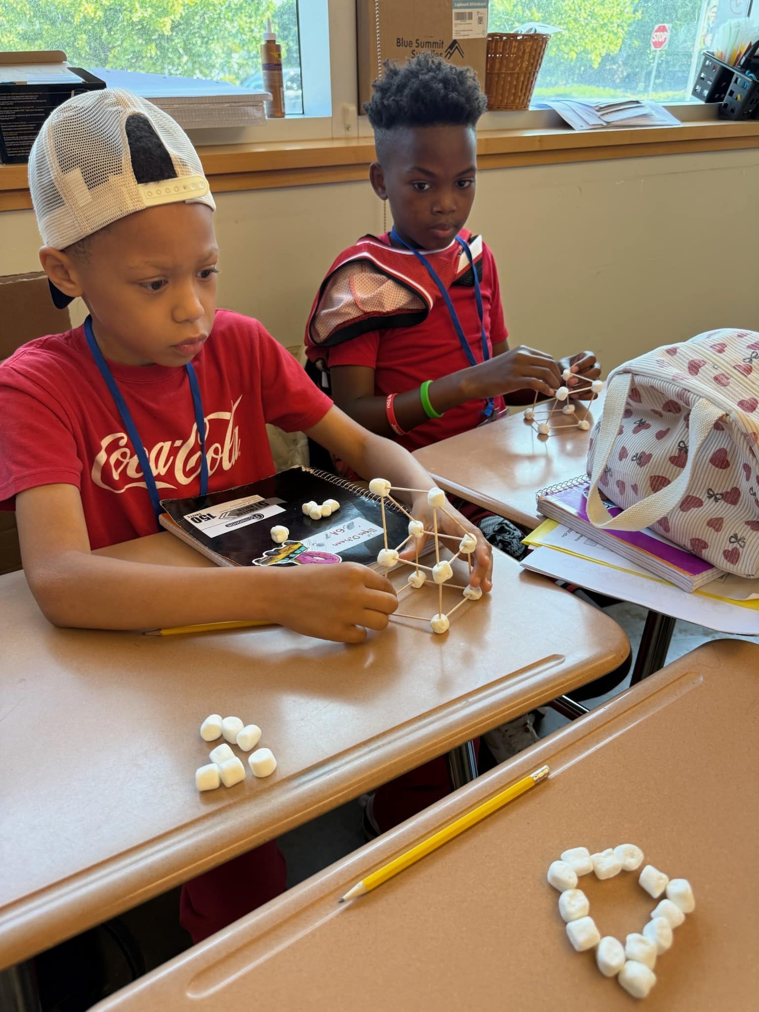 MSP classroom activities